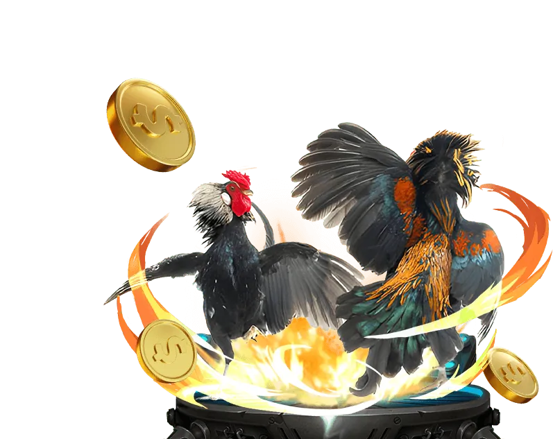 Giao diện cá cược đá gà xo88 game